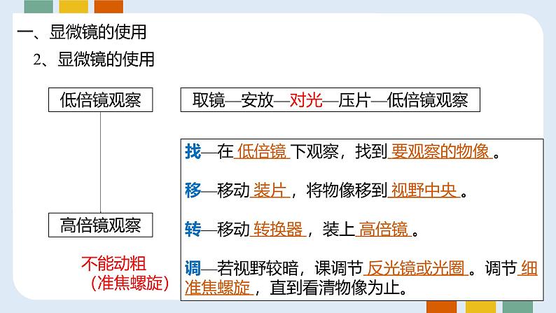 人教版 (2019) 必修1《分子与细胞》1.2细胞的多样性和统一性ppt精品课件第6页