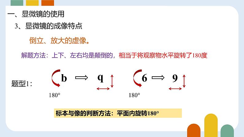 人教版 (2019) 必修1《分子与细胞》1.2细胞的多样性和统一性ppt精品课件第7页