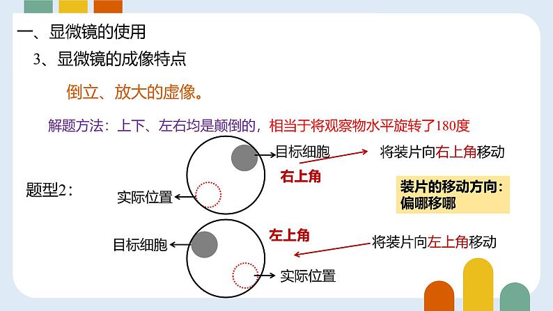 人教版 (2019) 必修1《分子与细胞》1.2细胞的多样性和统一性ppt精品课件第8页