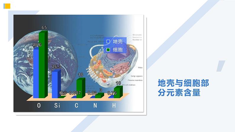 人教版 (2019) 必修1《分子与细胞》2.1细胞中的元素和化合物精品课件第2页