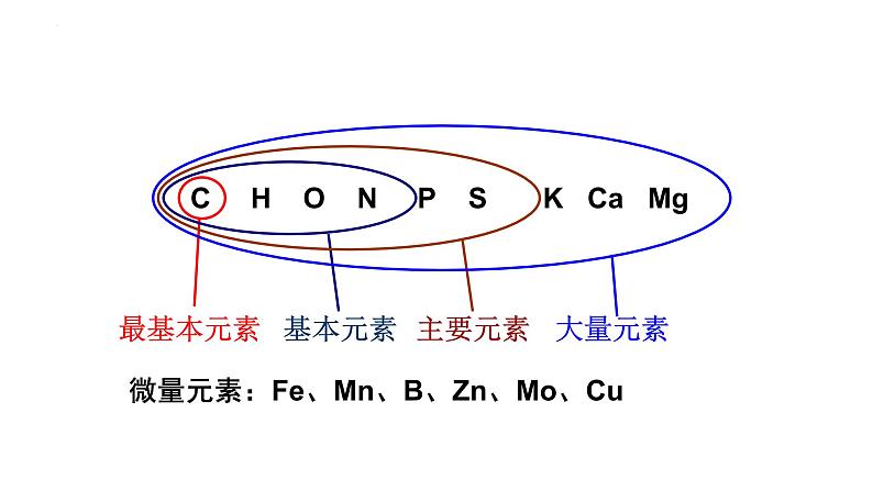 人教版 (2019) 必修1《分子与细胞》2.1细胞中的元素和化合物精品课件第6页
