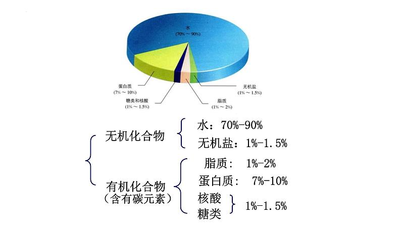 人教版 (2019) 必修1《分子与细胞》2.1细胞中的元素和化合物精品课件第7页