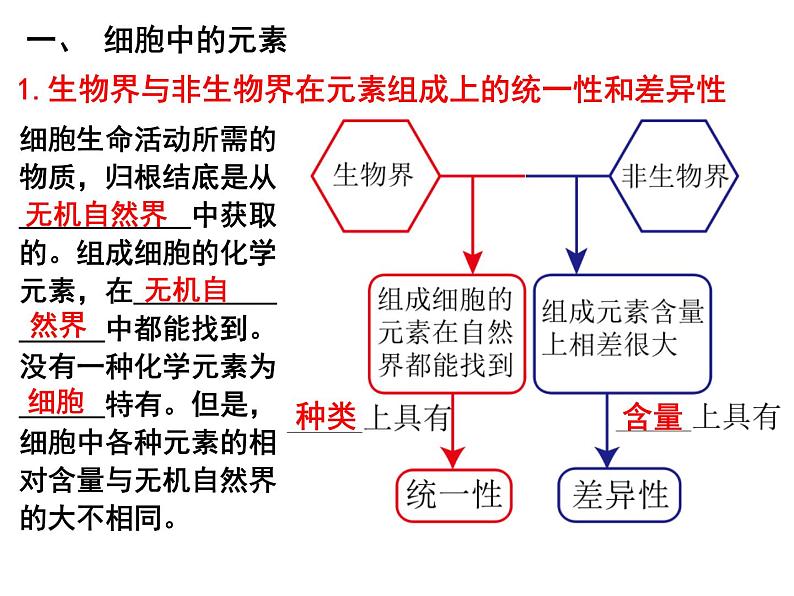 人教版 (2019) 必修1《分子与细胞》2.1细胞中的元素和化合物第1课时课件第3页