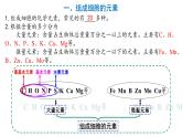 人教版 (2019) 必修1《分子与细胞》2.1细胞中的元素和化合物ppt精品课件