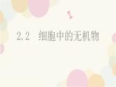 人教版 (2020) 必修1《分子与细胞》2.2细胞中的无机物精品课件ppt