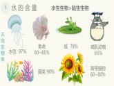 人教版 (2020) 必修1《分子与细胞》2.2细胞中的无机物精品课件ppt