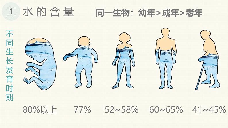 人教版 (2020) 必修1《分子与细胞》2.2细胞中的无机物精品课件ppt第4页