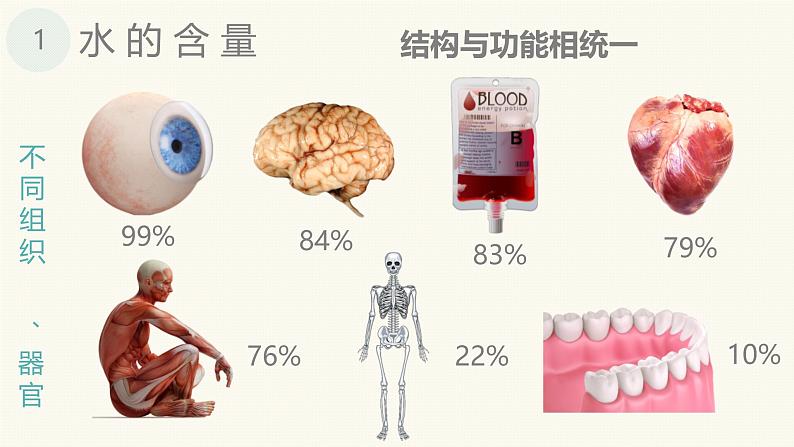 人教版 (2020) 必修1《分子与细胞》2.2细胞中的无机物精品课件ppt第5页