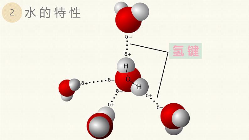 人教版 (2020) 必修1《分子与细胞》2.2细胞中的无机物精品课件ppt第7页