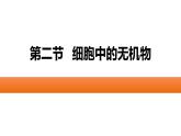 人教版 (2019) 必修1《分子与细胞》2.2细胞中的无机物精品课件
