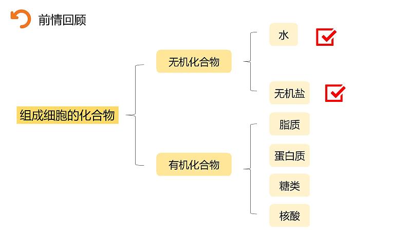 人教版 (2019) 必修1《分子与细胞》2.2细胞中的无机物精品课件第4页