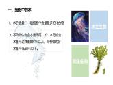 人教版 (2019) 必修1《分子与细胞》2.2细胞中的无机物精品课件