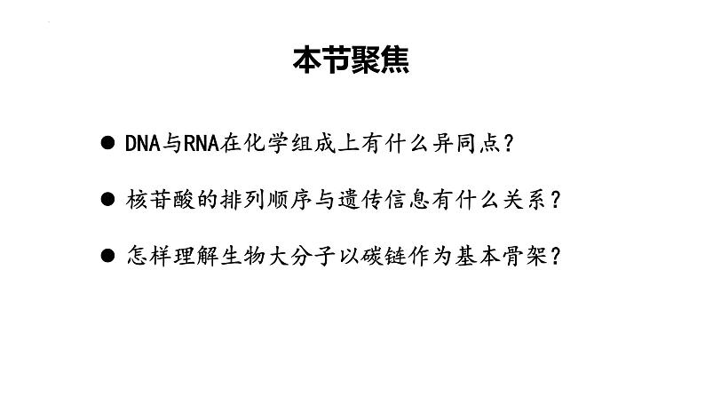 人教版 (2020) 必修1《分子与细胞》2.5核酸是遗传信息的携带者课件第2页