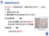 人教版 (2020) 必修1《分子与细胞》2.5核酸是遗传信息的携带者课件
