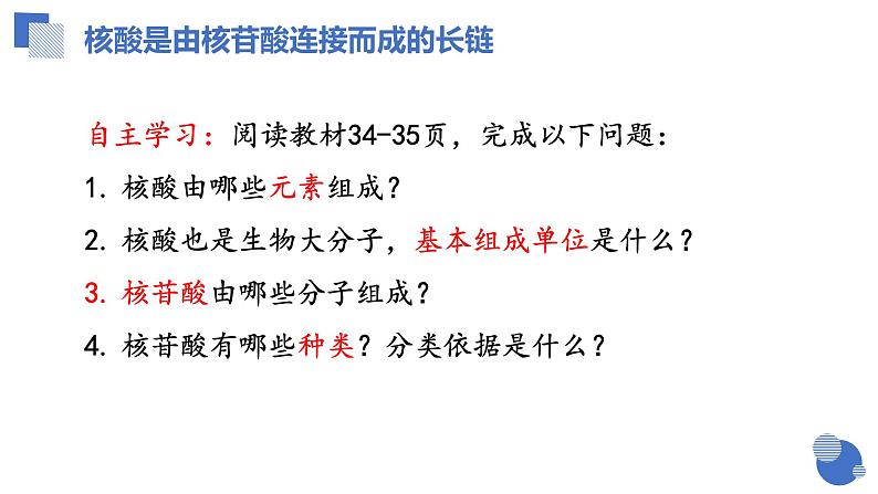 人教版 (2020) 必修1《分子与细胞》2.5核酸是遗传信息的携带者课件第5页