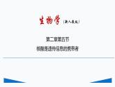 人教版 (2020) 必修1《分子与细胞》2.5核酸是遗传信息的携带者精品课件