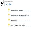 人教版 (2020) 必修1《分子与细胞》2.5核酸是遗传信息的携带者ppt课件