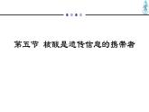 人教版 (2020) 必修1《分子与细胞》2.5核酸是遗传信息的携带者ppt精品课件