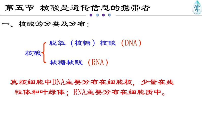 人教版 (2020) 必修1《分子与细胞》2.5核酸是遗传信息的携带者ppt精品课件第3页