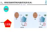 人教版 (2020) 必修1《分子与细胞》2.5核酸是遗传信息的携带者ppt精品课件