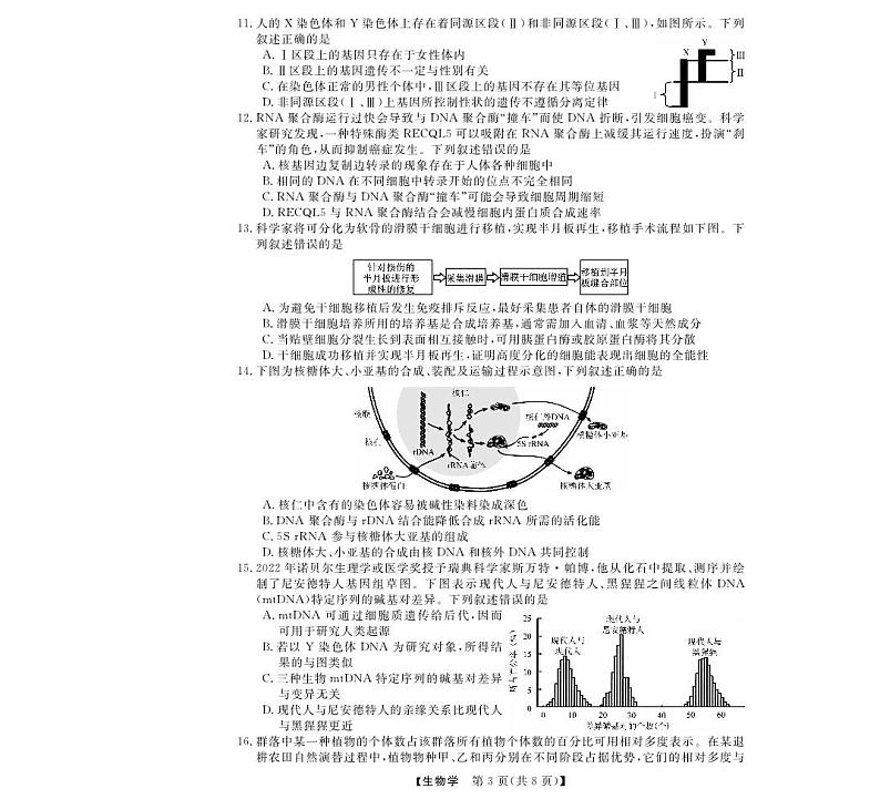 强基联盟高三12月联考--生物试卷第3页