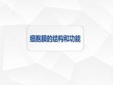 人教版 (2020) 必修1《分子与细胞》3.1细胞膜的结构和功能精品课件