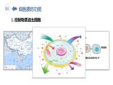人教版 (2020) 必修1《分子与细胞》3.1细胞膜的结构和功能精品课件