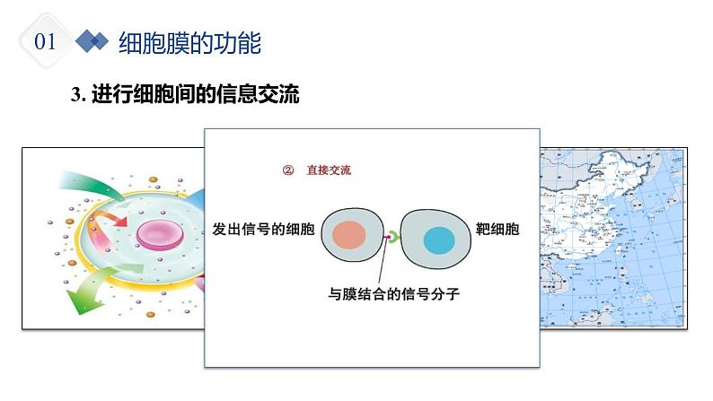 人教版 (2020) 必修1《分子与细胞》3.1细胞膜的结构和功能精品课件第4页