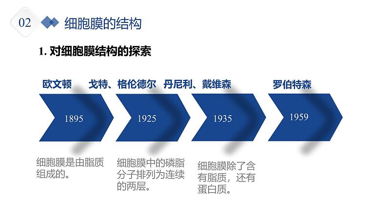 人教版 (2020) 必修1《分子与细胞》3.1细胞膜的结构和功能精品课件第8页