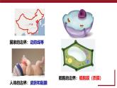人教版 (2020) 必修1《分子与细胞》3.1细胞膜的结构和功能精品ppt课件