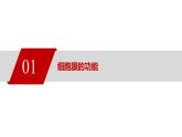 人教版 (2020) 必修1《分子与细胞》3.1细胞膜的结构和功能精品ppt课件