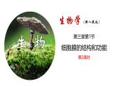 人教版 (2020) 必修1《分子与细胞》3.1细胞膜的结构和功能第2课时课件