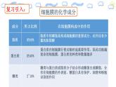 人教版 (2020) 必修1《分子与细胞》3.1细胞膜的结构和功能第2课时课件