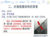 人教版 (2020) 必修1《分子与细胞》3.1细胞膜的结构和功能第2课时课件