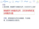 人教版 (2020) 必修1《分子与细胞》3.1细胞膜的结构和功能第1课时课件