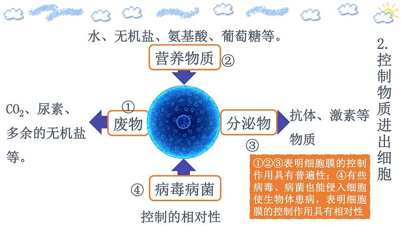 人教版 (2020) 必修1《分子与细胞》3.1细胞膜的结构和功能第1课时课件第7页