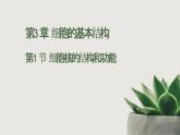 人教版 (2020) 必修1《分子与细胞》3.1细胞膜的结构和功能ppt课件