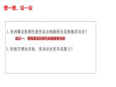 人教版 (2020) 必修1《分子与细胞》3.1细胞膜的结构和功能ppt课件