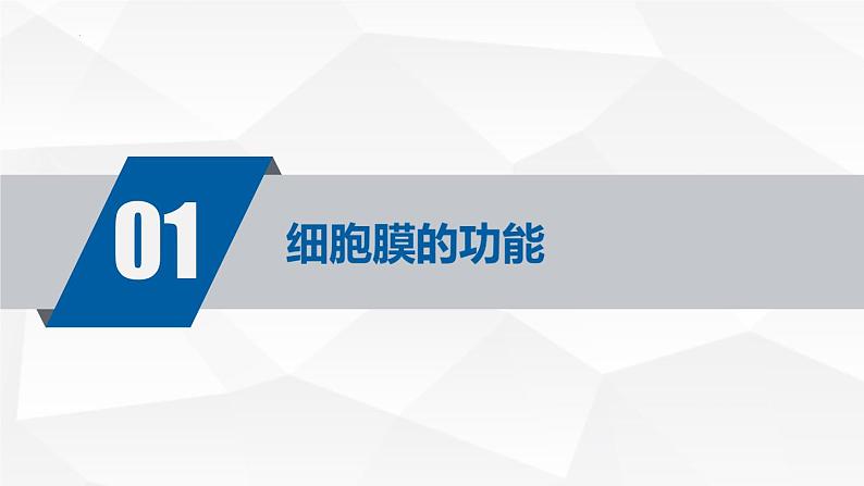 人教版 (2020) 必修1《分子与细胞》3.1细胞膜的结构和功能ppt精品课件第4页