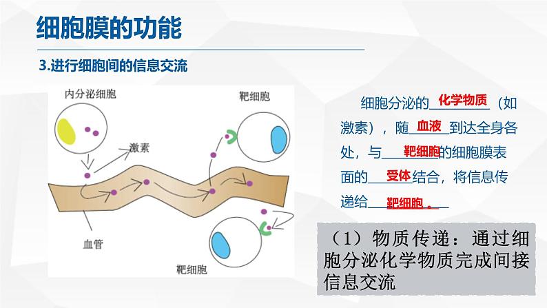 人教版 (2020) 必修1《分子与细胞》3.1细胞膜的结构和功能ppt精品课件第8页