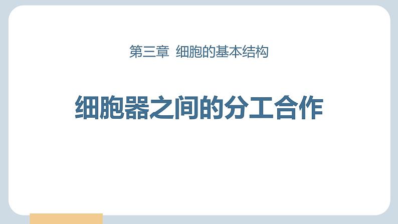 人教版 (2020) 必修1《分子与细胞》3.2细胞器之间的分工合作精品ppt课件第1页