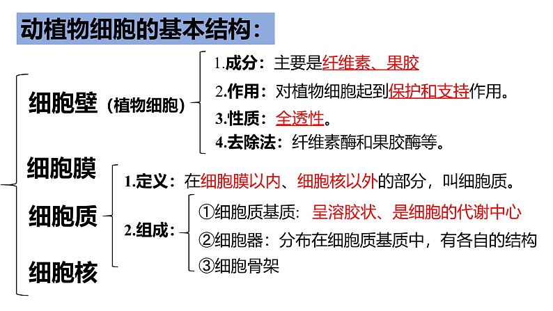 人教版 (2020) 必修1《分子与细胞》3.2细胞器之间的分工合作精品ppt课件第2页