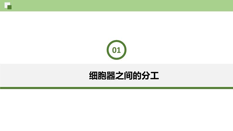 人教版 (2020) 必修1《分子与细胞》3.2细胞器之间的分工合作ppt精品课件第8页