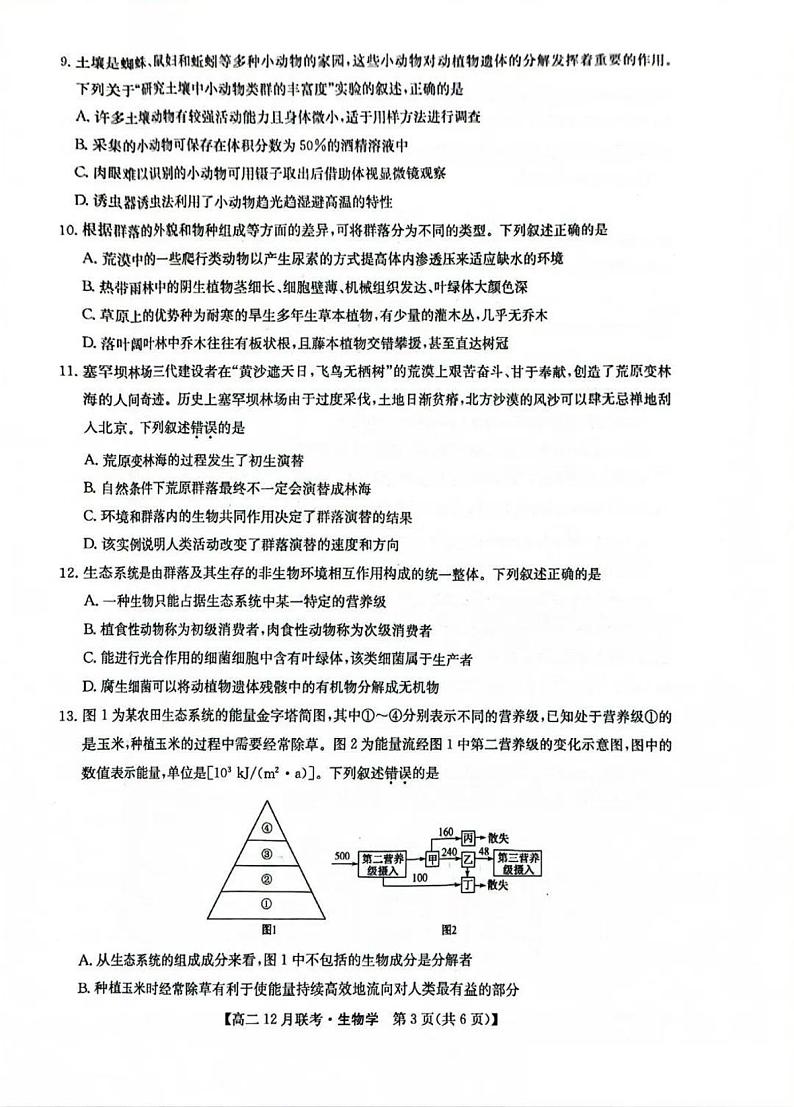 洛阳强基联盟2024-2025学年高二上学期12月联考生物试卷及答案第3页