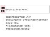 人教版 (2020) 必修1《分子与细胞》3.3细胞核的结构和功能精品ppt课件