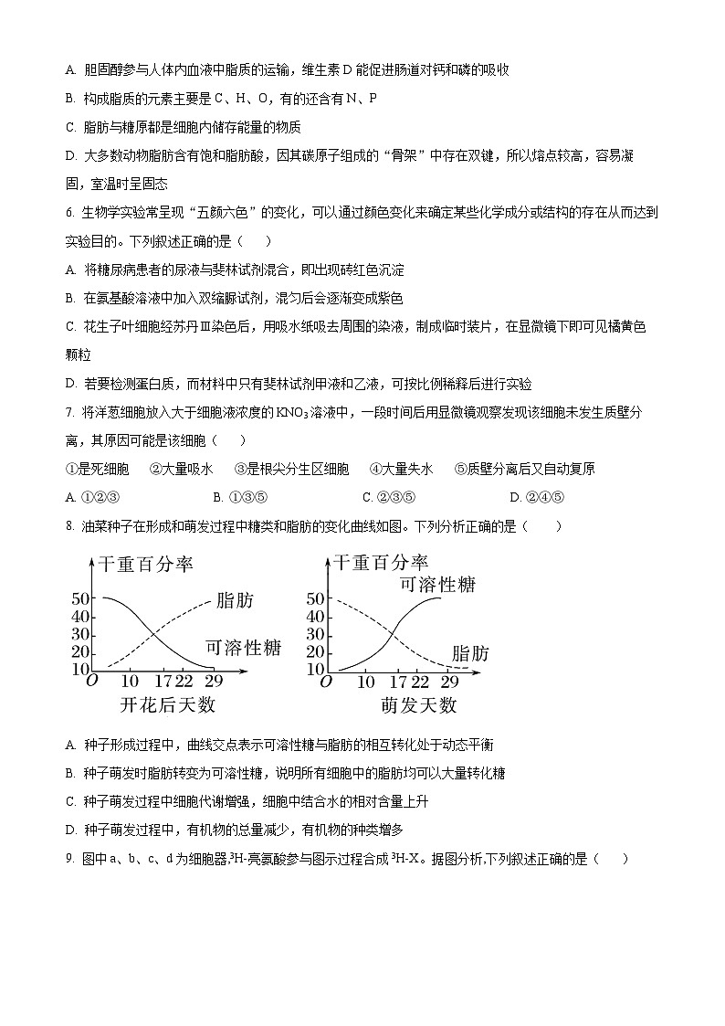精品解析：四川省眉山市东坡区冠城实验学校2024-2025学年高一上学期11月期中生物试题（原卷版）第2页