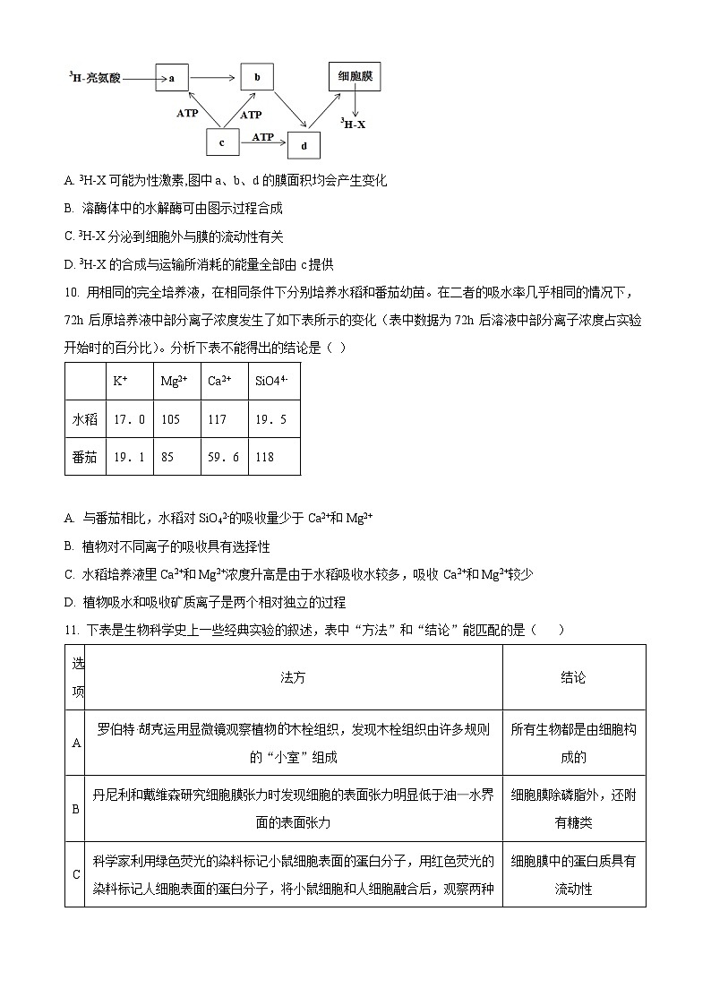 精品解析：四川省眉山市东坡区冠城实验学校2024-2025学年高一上学期11月期中生物试题（原卷版）第3页