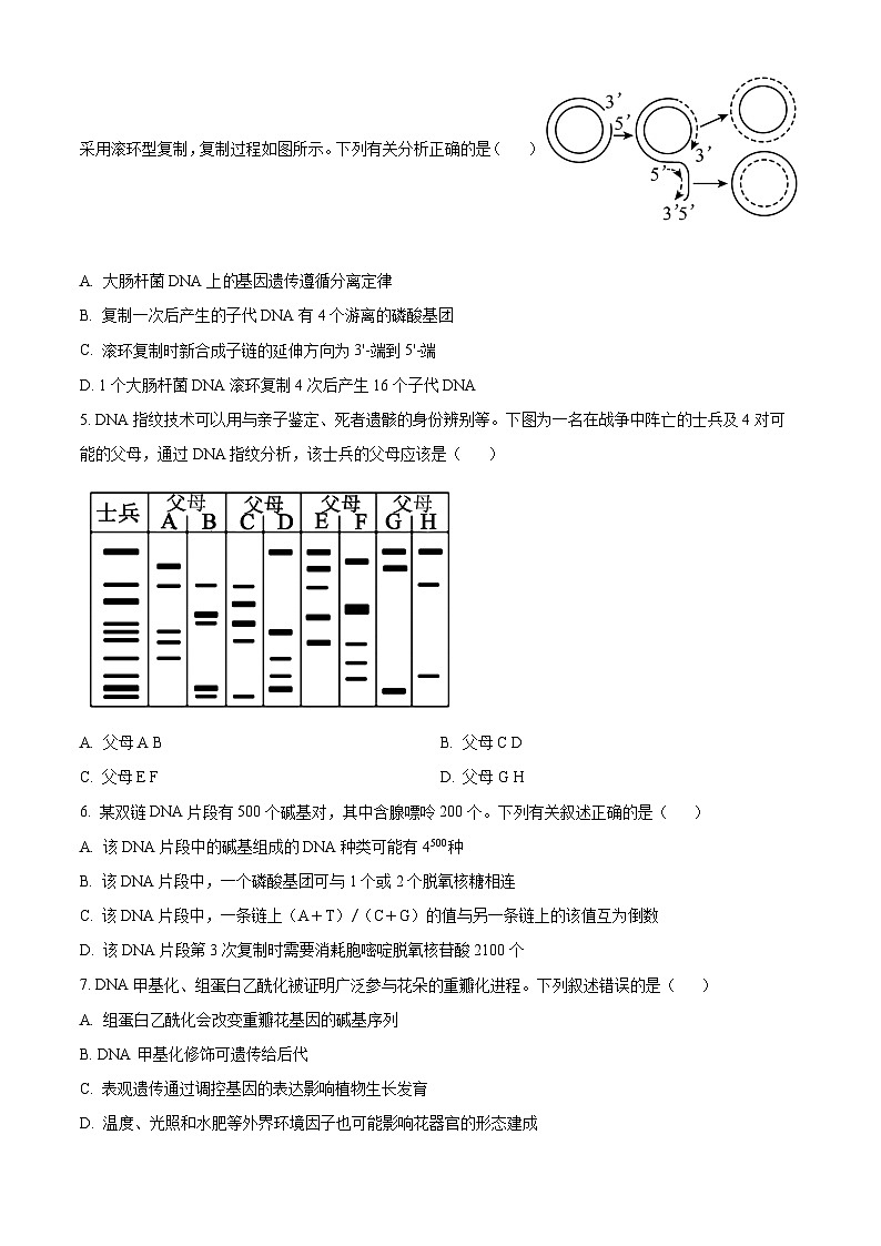 精品解析：四川省眉山市仁寿县铧强中学2024-2025学年高二上学期11月期中生物试题（原卷版）第2页