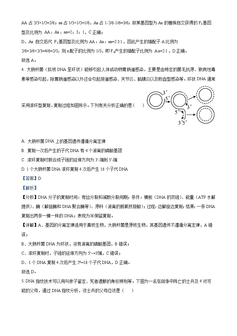 精品解析：四川省眉山市仁寿县铧强中学2024-2025学年高二上学期11月期中生物试题（解析版）第3页