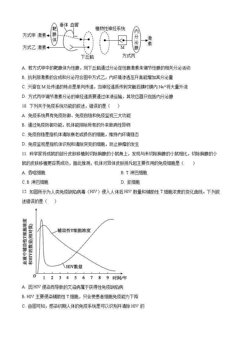 精品解析：四川省眉山市东坡区眉山北外附属东坡外国语学校2024-2025学年高二上学期11月期中生物试题（原卷版）第3页